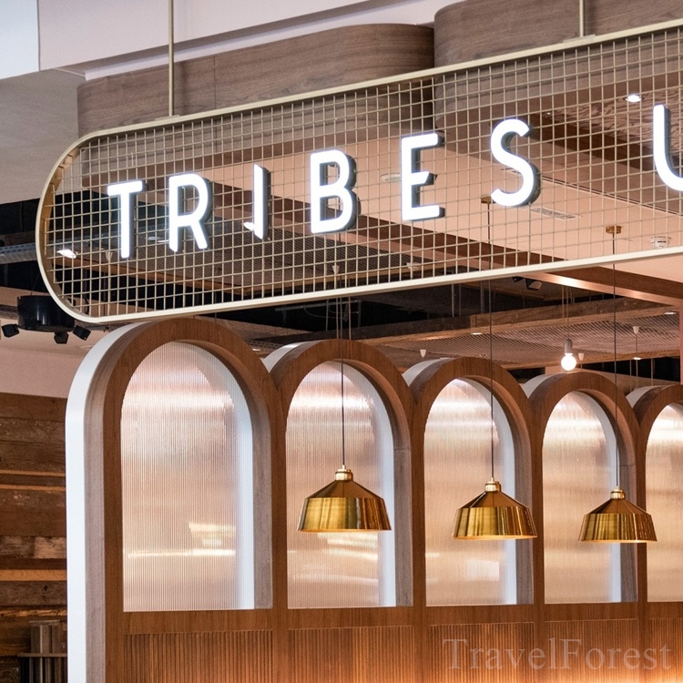 두바이 분수쇼 야경 맛집 트라이브스 레스토랑 예약, 가성비 가득한 저녁 추천