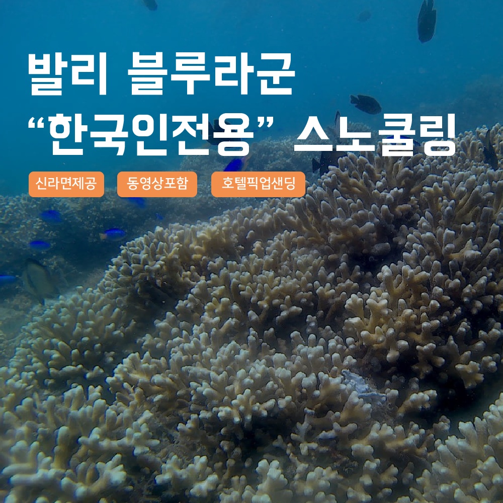 [발리] 발리 블루라군 스노쿨링 고프로 촬영 – 한 번은 꼭 가봐야 할 해양 액티비티 체험