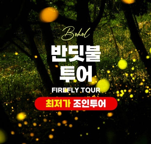 보홀 반딧불투어 3개 포인트, 놓치지 말아야 할 필수 여행템