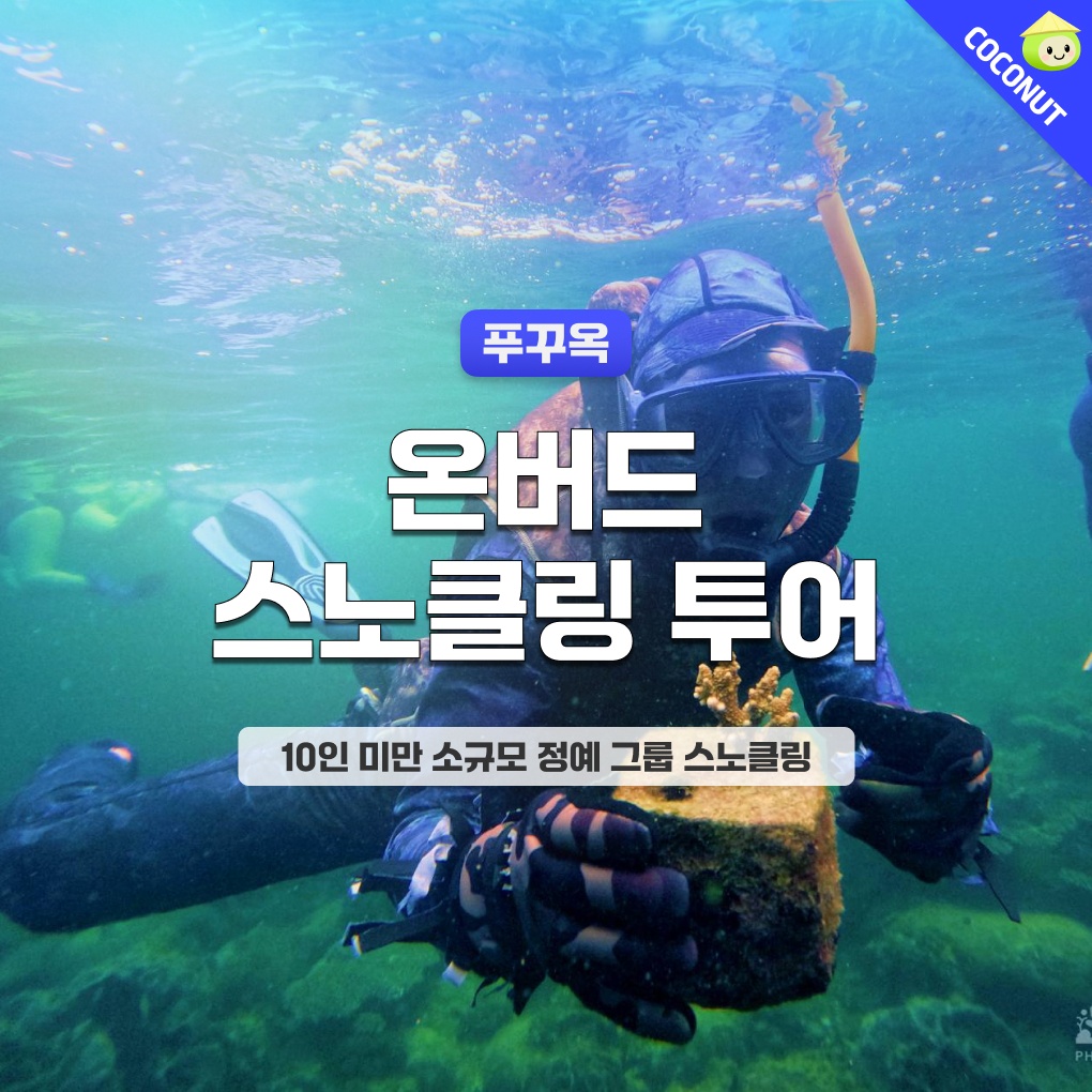 [소규모 스노클링] 푸꾸옥 온버드 프리미엄 스노쿨링 호핑투어 프리다이빙 예약센터 솔직 리뷰
