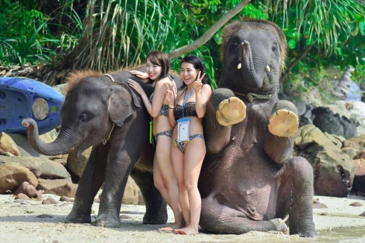 “태국 푸켓 럭키 비치 코끼리 수영 푸껫” 후기, 이거 진짜 필수템이에요