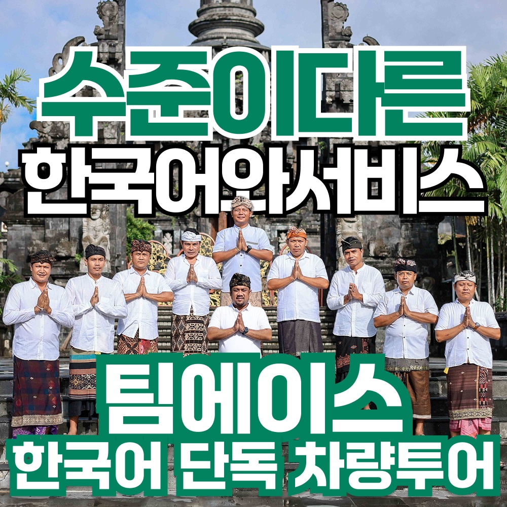 팀에이스 발리 한국어 가이드 투어, 극강 가성비로 즐기는 필수 여행템