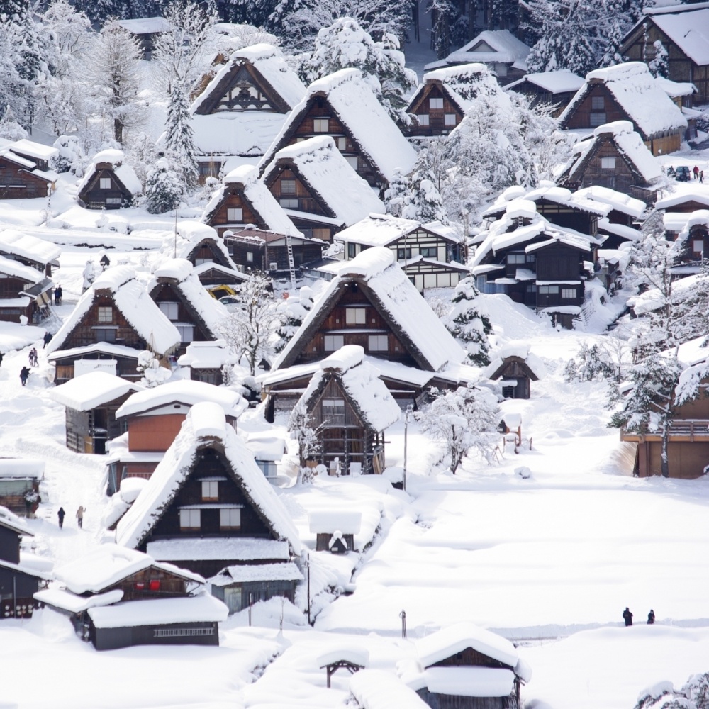 [한국인가이드&통행료포함] 나고야 다카야마 시라카와고 버스투어 히다규카레빵 특전, 가격과 혜택 총정리